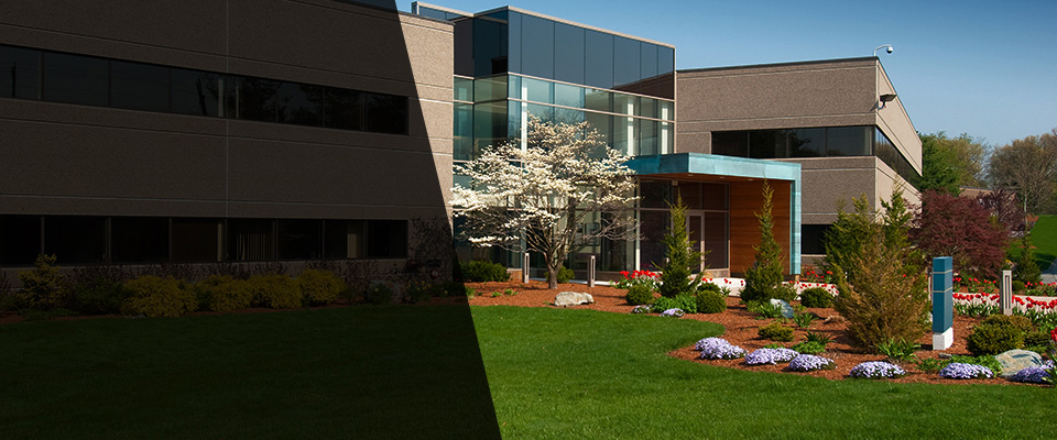 Palo Alto Landscapers