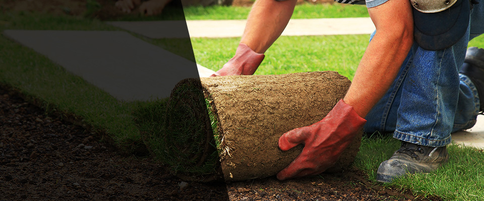 Palo Alto Landscapers